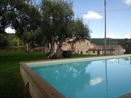 La Collina Degli Ulivi
