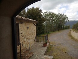 La Collina Degli Ulivi