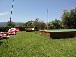 La Collina Degli Ulivi