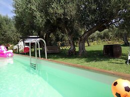 La Collina Degli Ulivi