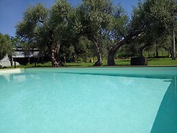 La Collina Degli Ulivi