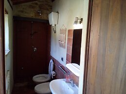 La Collina Degli Ulivi