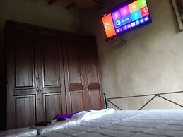 La Collina Degli Ulivi