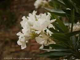 Agriturismo la Prodaia