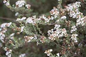 The Living Collective