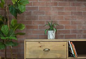 The Living Collective