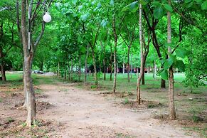 Lavish Eco Jungle