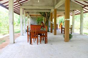 Lavish Eco Jungle