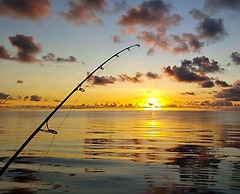 Dhiguveli Maldives