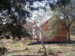 Walnut Canyon Cabins