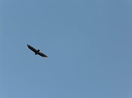 Walnut Canyon Cabins
