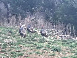 Walnut Canyon Cabins