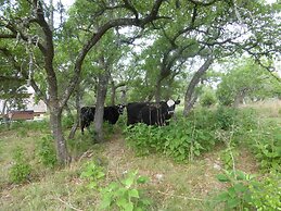 Walnut Canyon Cabins
