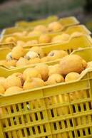 Agriturismo San Leonardello