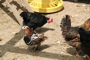 Tenuta Donna Caterina