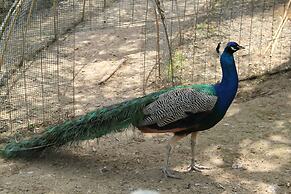 Tenuta Donna Caterina