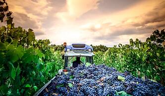 Agriturismo Il Principino