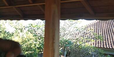 ESA di Kubu Homestay