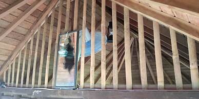 ESA di Kubu Homestay