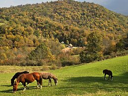 Ecokayan Dilijan Resort Hotel