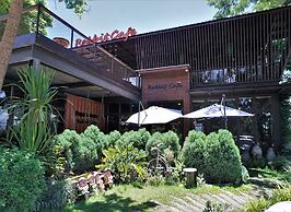 Papa's Home and Rabbit cafe