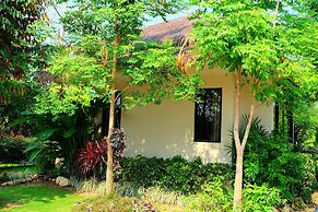 Papa's Home and Rabbit cafe