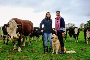 Lakeview Lodge Karapiro