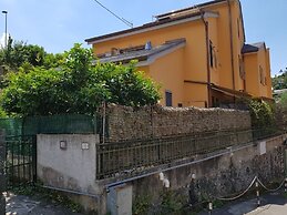 Sharky Charming Cottage