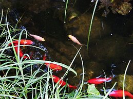 Aranyhal Apartmanház