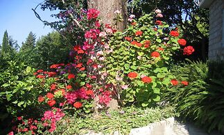 Guest House Villa Nina