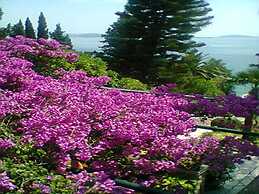 Guest House Villa Nina