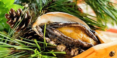 Yukei no Yado Umi no Yurikago Hagikomachi