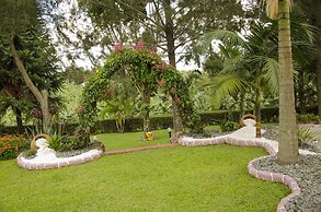 Sheevy's Bed N Breakfast