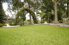 Sheevy's Bed N Breakfast