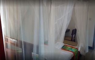 Sheevy's Bed N Breakfast