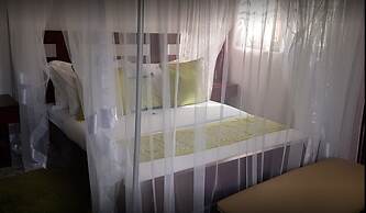 Sheevy's Bed N Breakfast