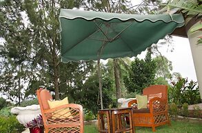 Sheevy's Bed N Breakfast