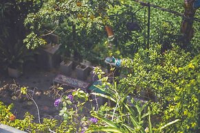 Aathma Colombo House