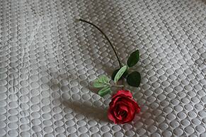 Country Dream guesthouse