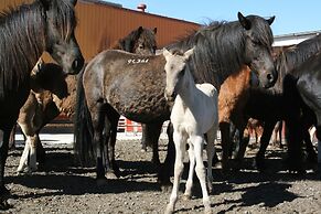 Country Dream guesthouse