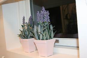 Country Dream guesthouse