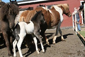 Country Dream guesthouse