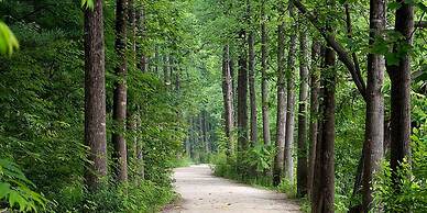 GoChang Well Park City Healing County