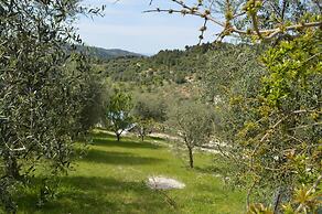 Agriturismo Valle Dei Gelsi