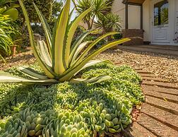 Beau Vallon Holiday Apartments