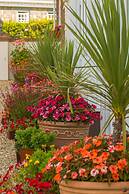 Beau Vallon Holiday Apartments