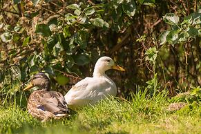 Beau Vallon Holiday Apartments