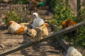 Beau Vallon Holiday Apartments