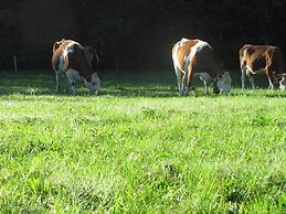 La Genzianella