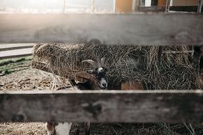 Hotel Restaurant Weßner Hof